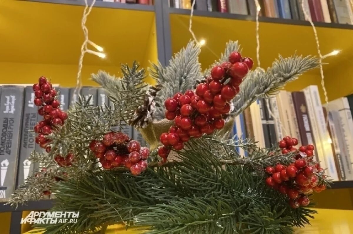    Новосибирцам рассказали о штрафах за новогоднее украшение подъездов домов