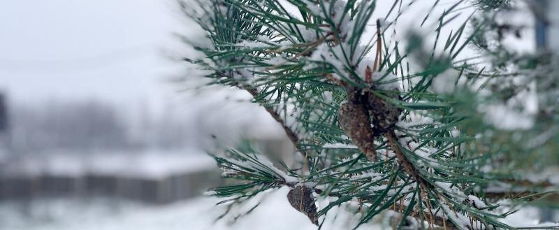 Россиян ждёт самый короткий рабочий сезон за двадцать лет