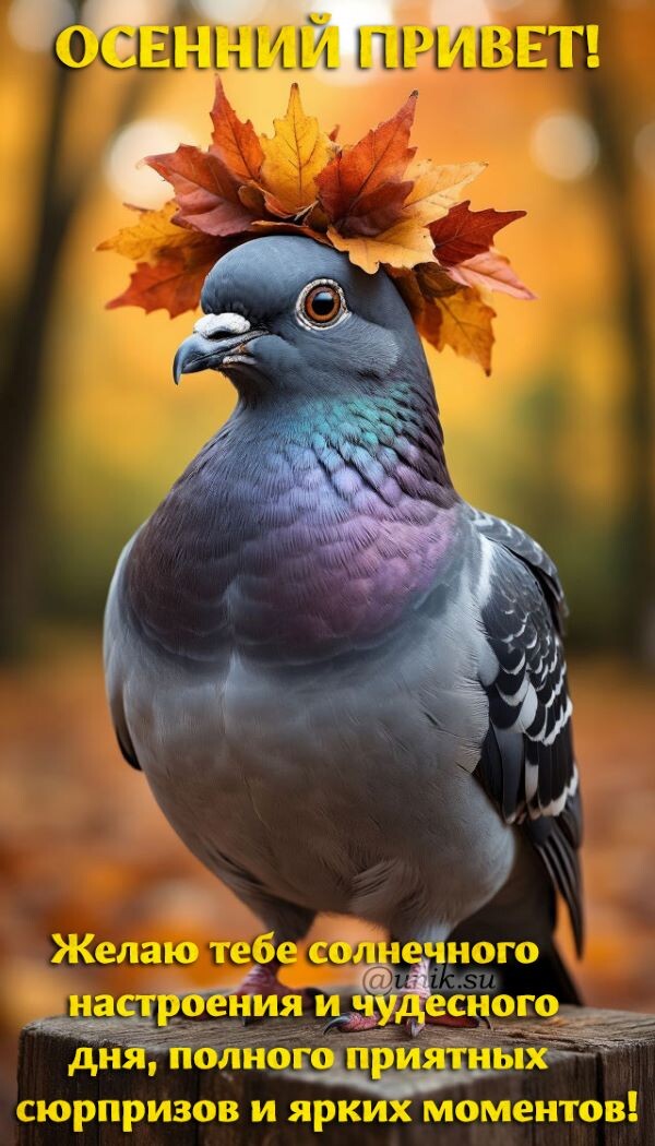 картинка хорошего прекрасного дня