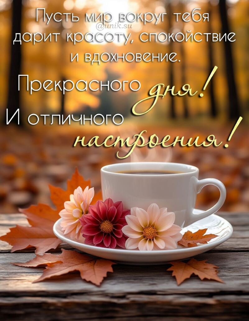 картинка хорошего дня и отличного настроения