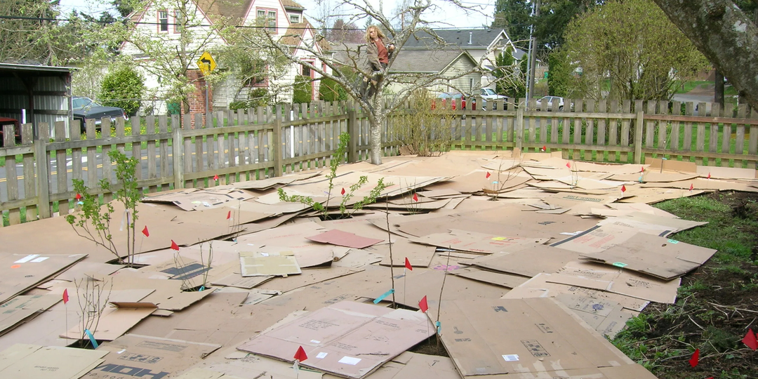 Сорняков больше нет, а урожая в 3 раза больше. Укладываю каждый год и проблем не знаю (простой лафхак)