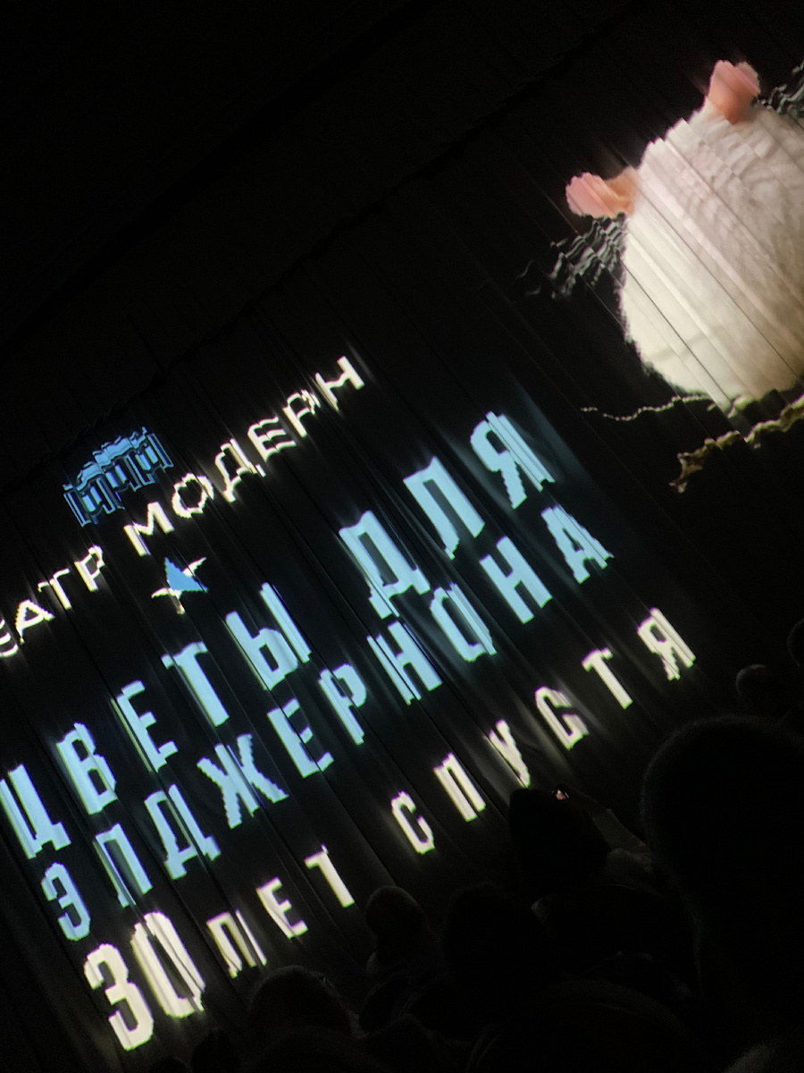 Занавес в зрительном зале.