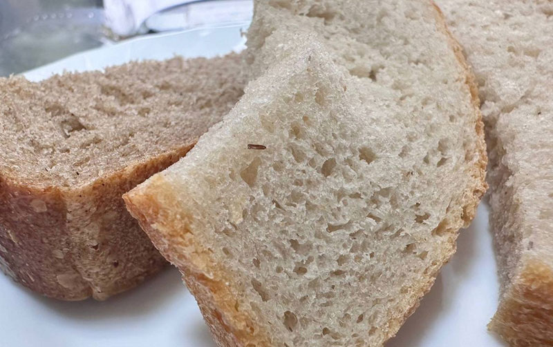     Фото: прокуратура Камчатки