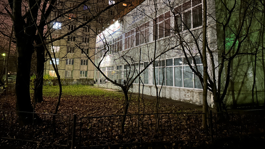    Фото: ИЗВЕСТИЯ/Елена Хмура; 5-tv.ru