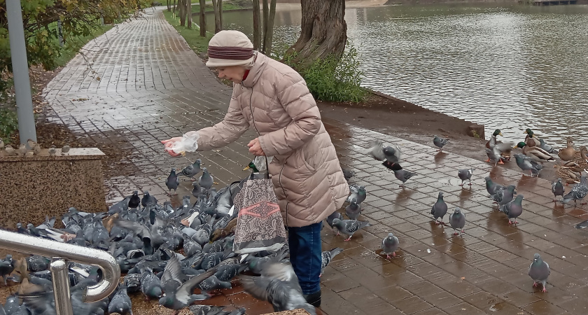    Как европейские пенсионеры живут с достоинством: стоит взять на заметку