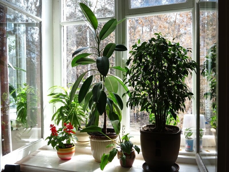 Фото из интернета. Окно в комнате свиданий.