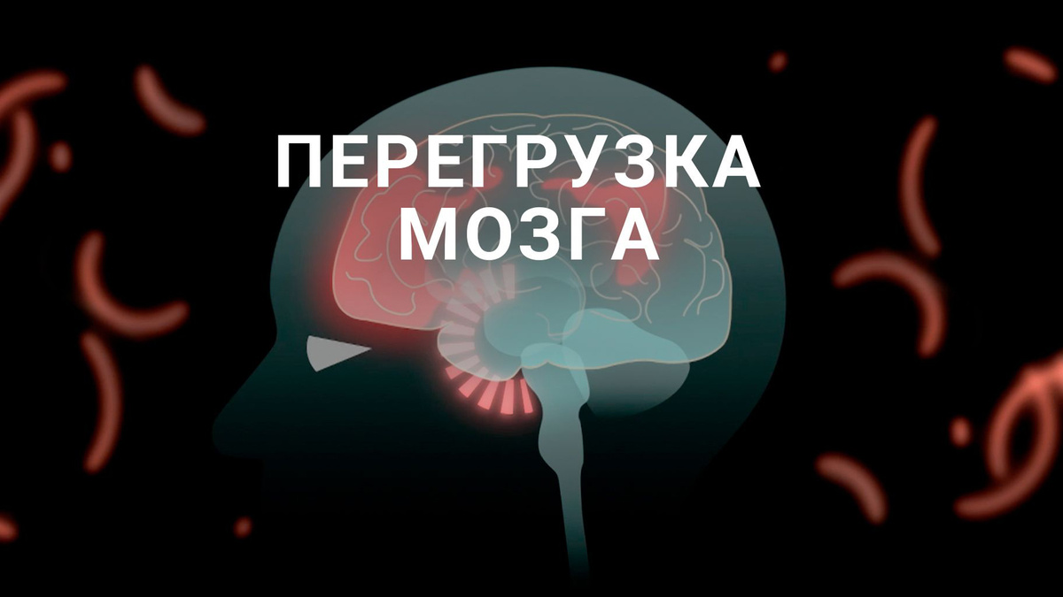 6 Признаков, Что Мозг Перегружен Токсинами (Чек-Лист)