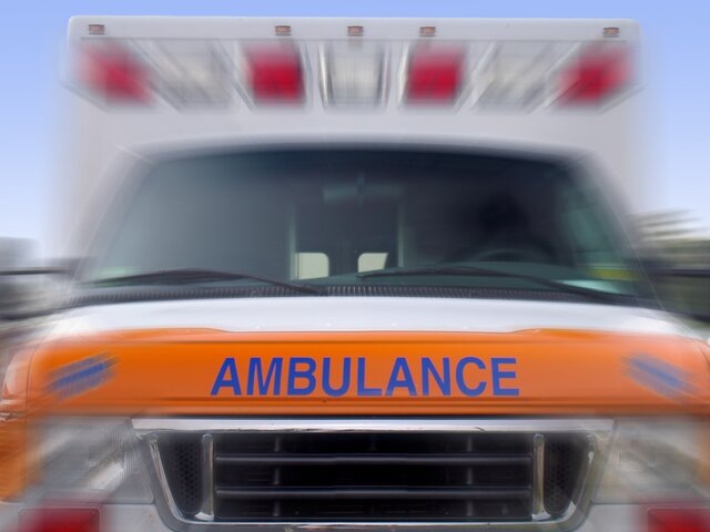    Фото: depositphotos/zimmytws