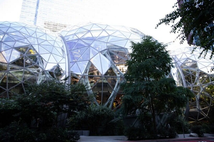    Джунгли посреди офиса: как выглядит штаб-квартира Amazon