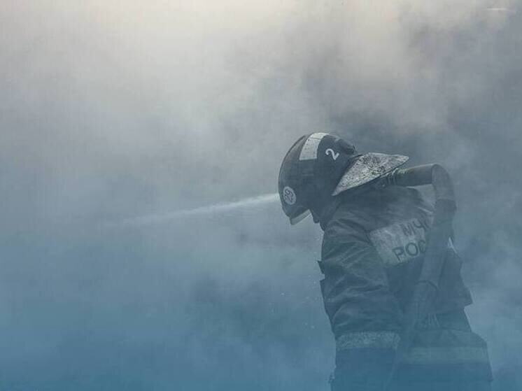     Фото: ГУ МЧС по Новосибирской области