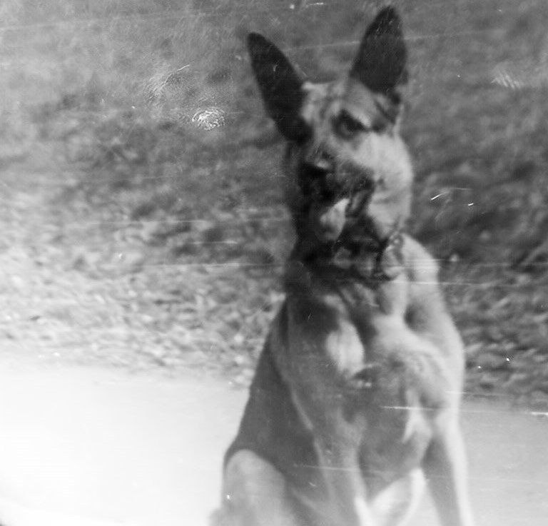 фото из личного архива