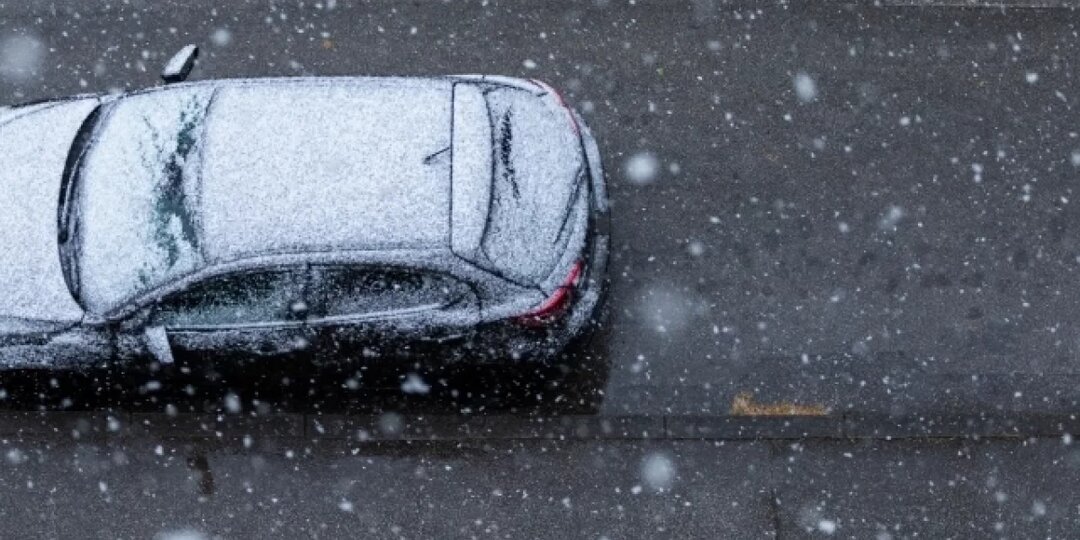 Мокрый снег продолжает валить деревья в Академгородке Новосибирска