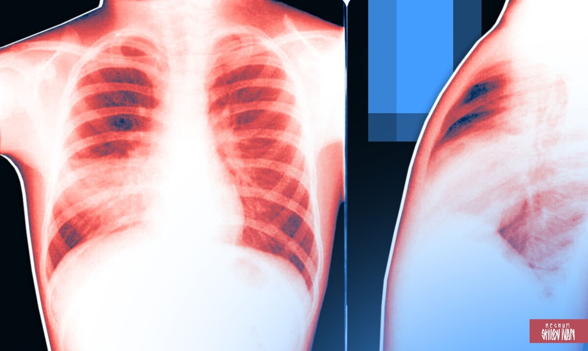     / Источник: Иван Шилов (с) ИА Регнум