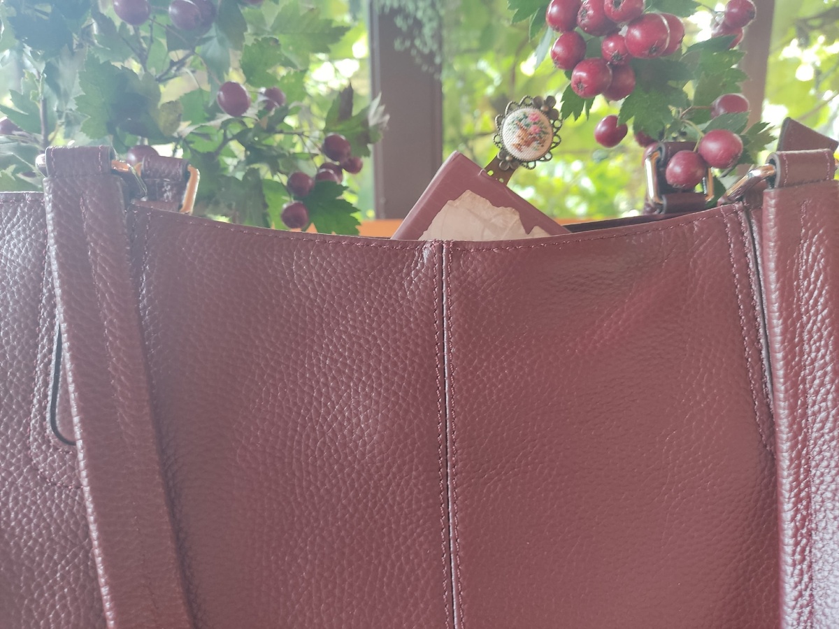 Беру свой садовый блокнот и иду со своими граблями в Макс и Телеграмм