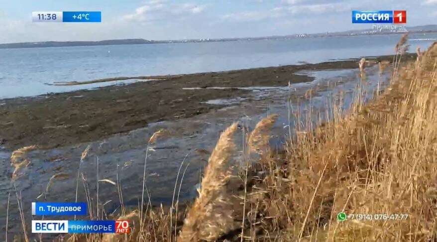    Источник фото: