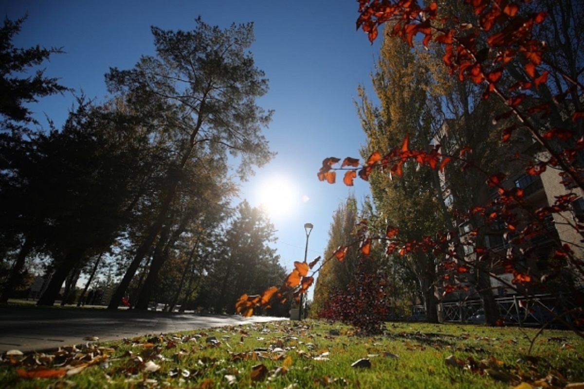 © Фото: ИД «Волгоградская правда» / Кирилл Брага / архив