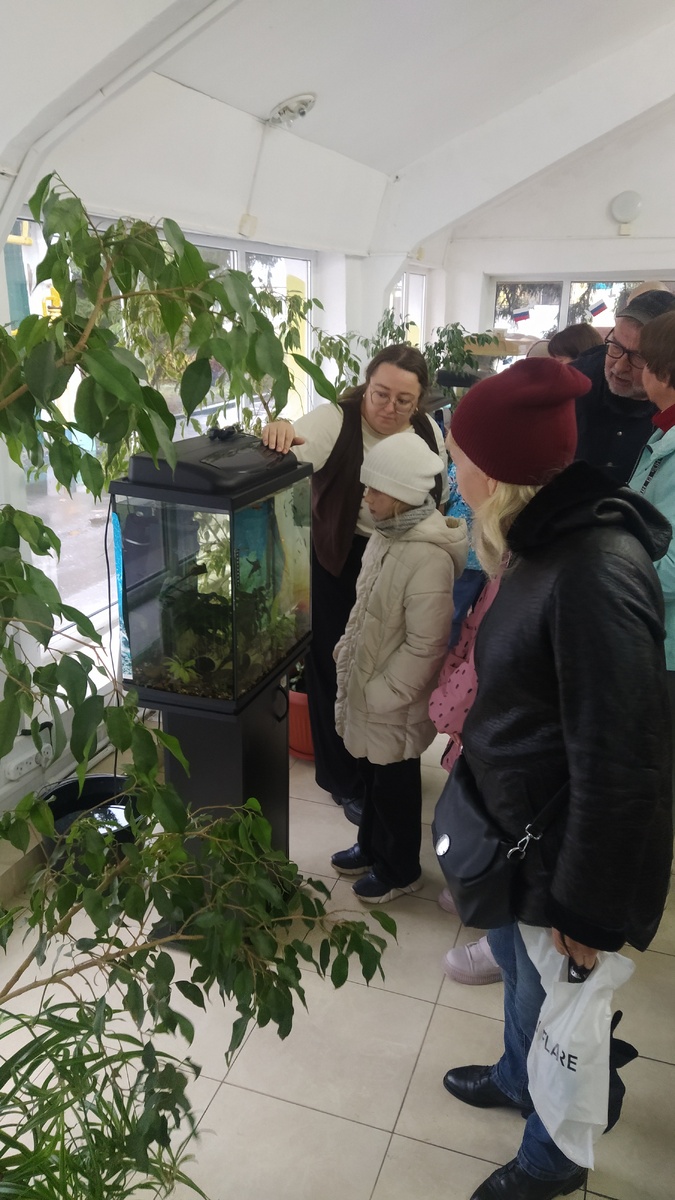 Помещение довольно зелёное!