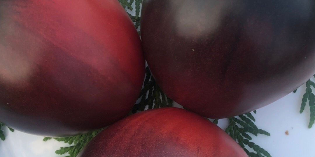 Экзотические сорта, продолжение