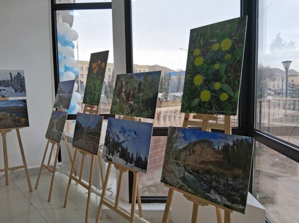    Выставка "Катунь заповедная" в Киргизии. Источник: t.me/katunskiyzapovednik