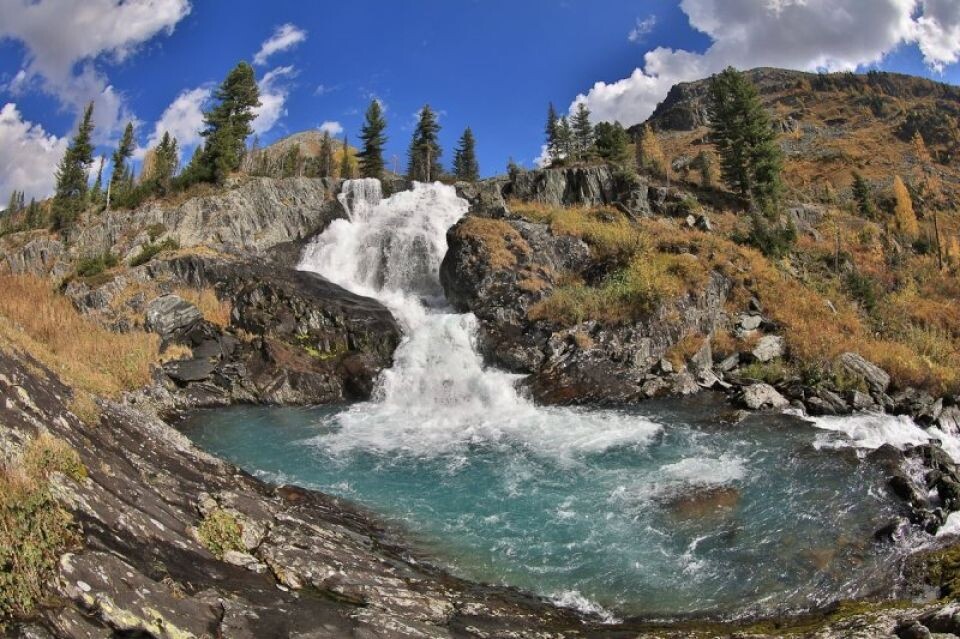    Выставка "Катунь заповедная" в Киргизии. Источник: t.me/katunskiyzapovednik