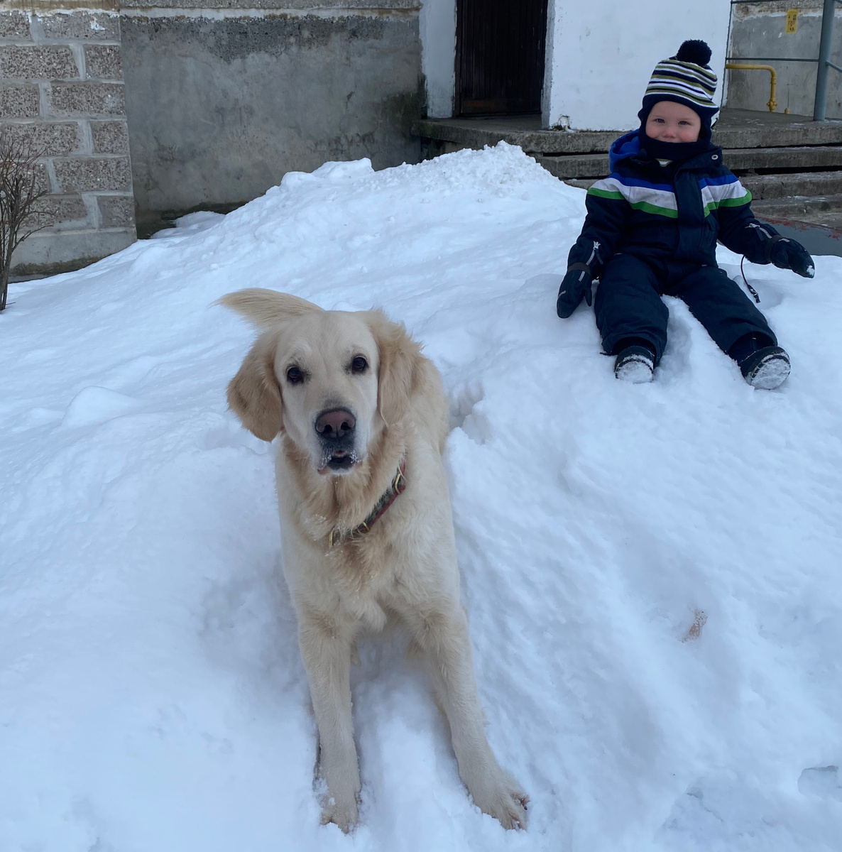 Моня предпочитает песок реагентам