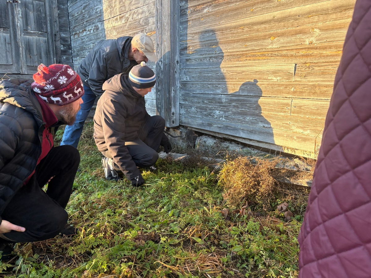    Эксперты проверили здание спортивной школы в Лахденпохье на состояние аварийности © Лахденпохский район / VK