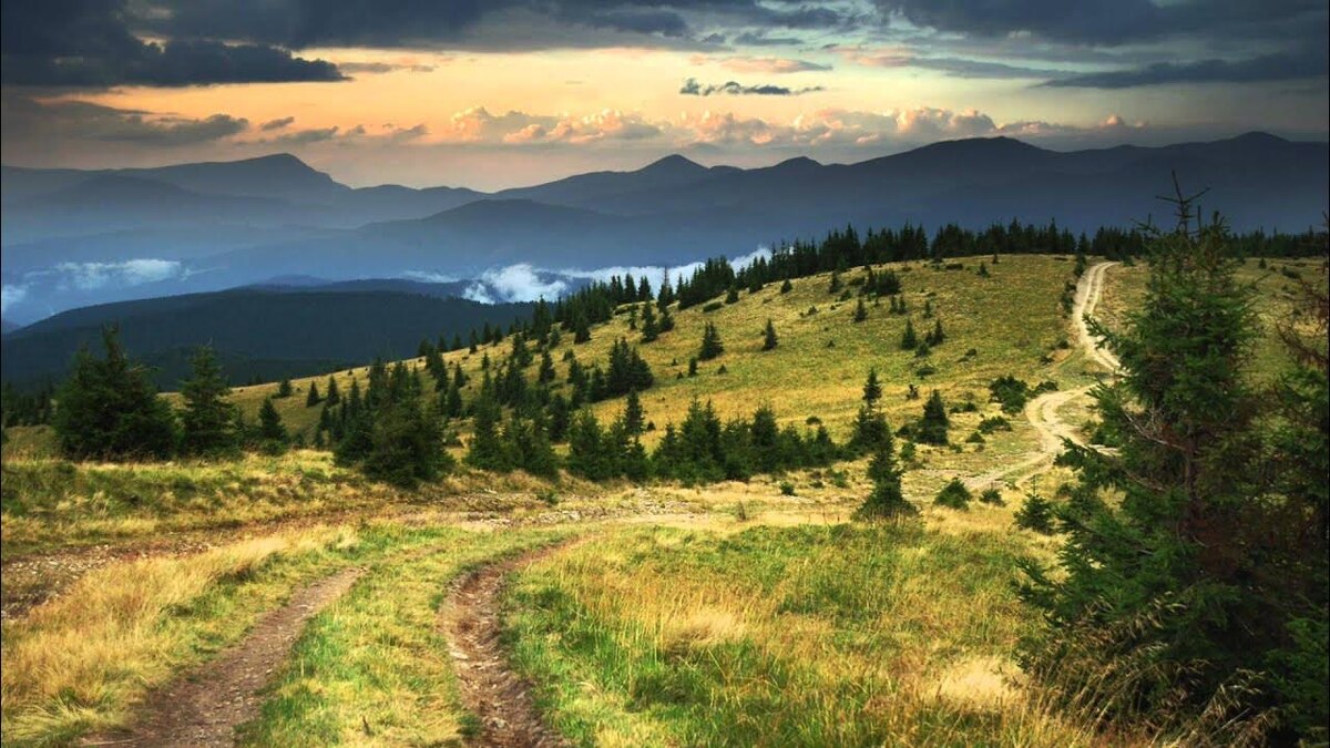 Путешествие начинается ещё дома