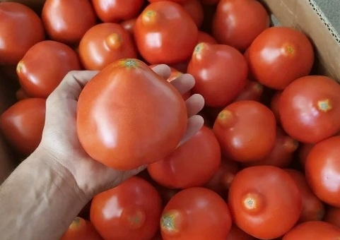 фото из интернета