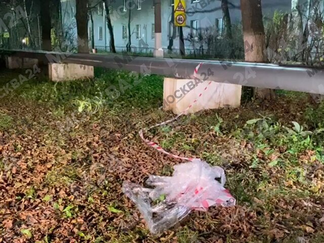    Фото: Москва 24