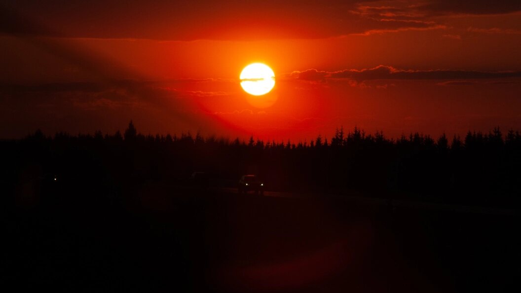    Фото: Svetlana Vozmilova /Globallookpress