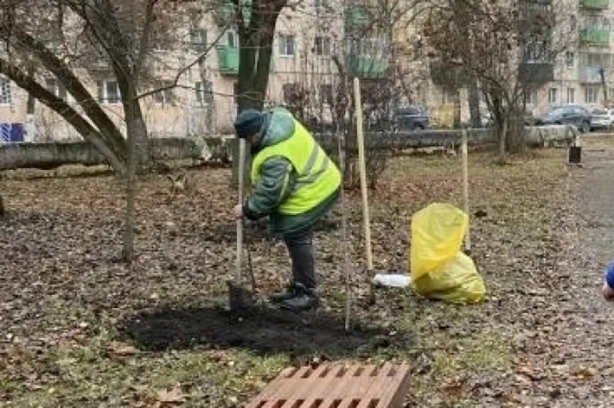    УГиА Пензы: в городе могут задерживаться работы по уходу за насаждениями