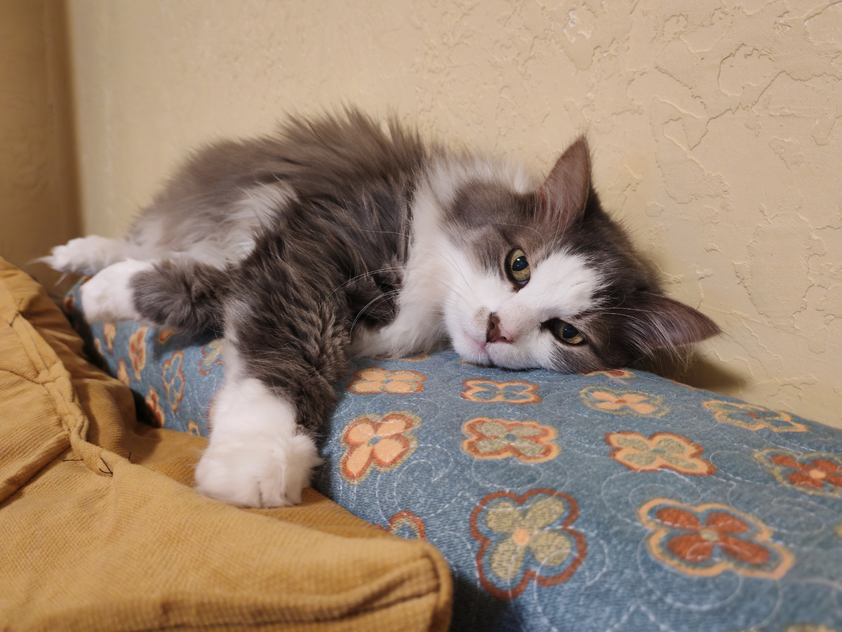 Будьте счастливы! 