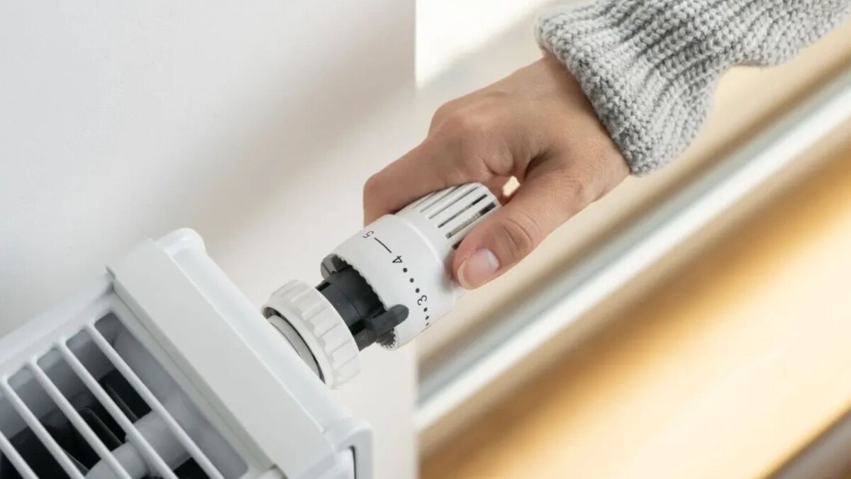    Фото: Dmitrij Galacewicz / Shutterstock / Fotodom