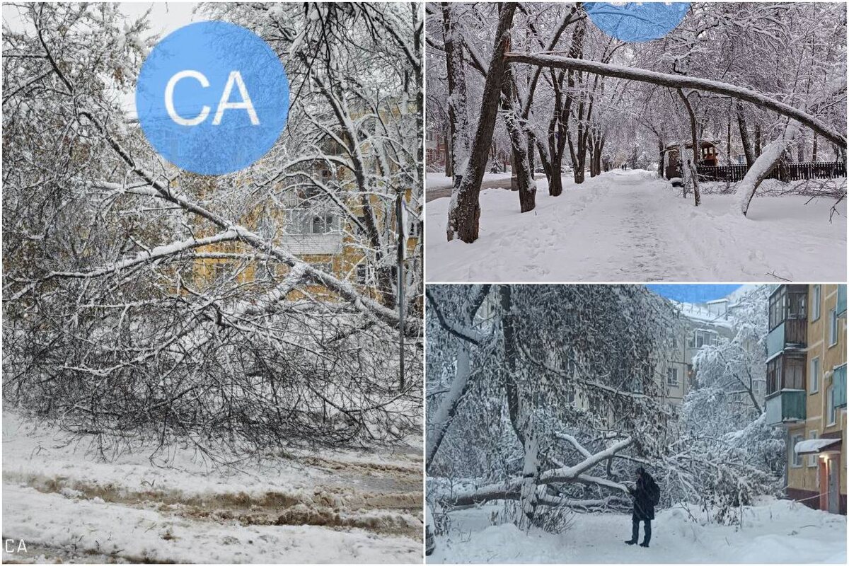    Фото: ТГ-канал "Сообщество Академгородка \ Новосибирск"
