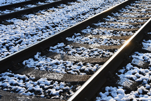    Фото: freepik. com