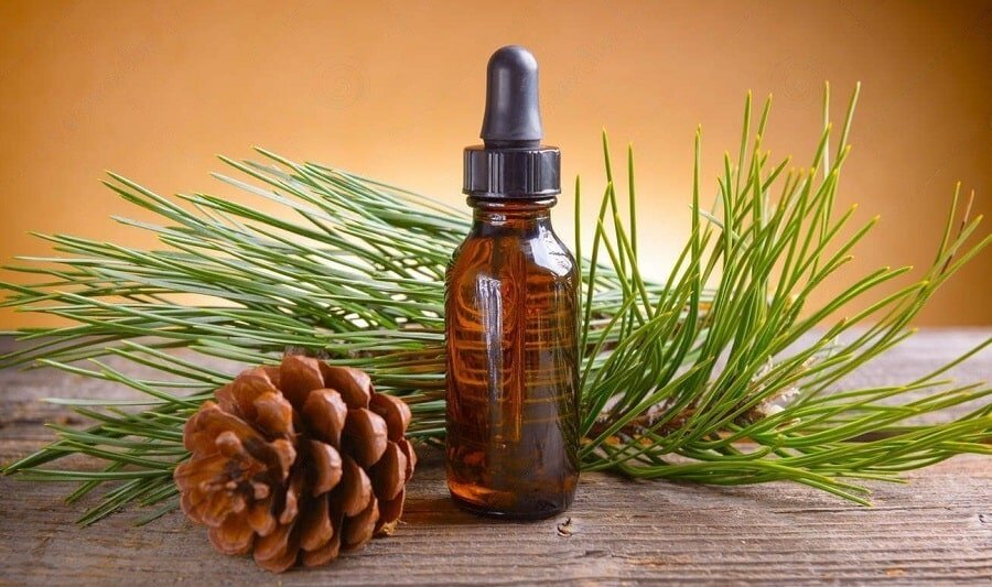 Пихтовое масло: дар сибирской тайги для вашего здоровья