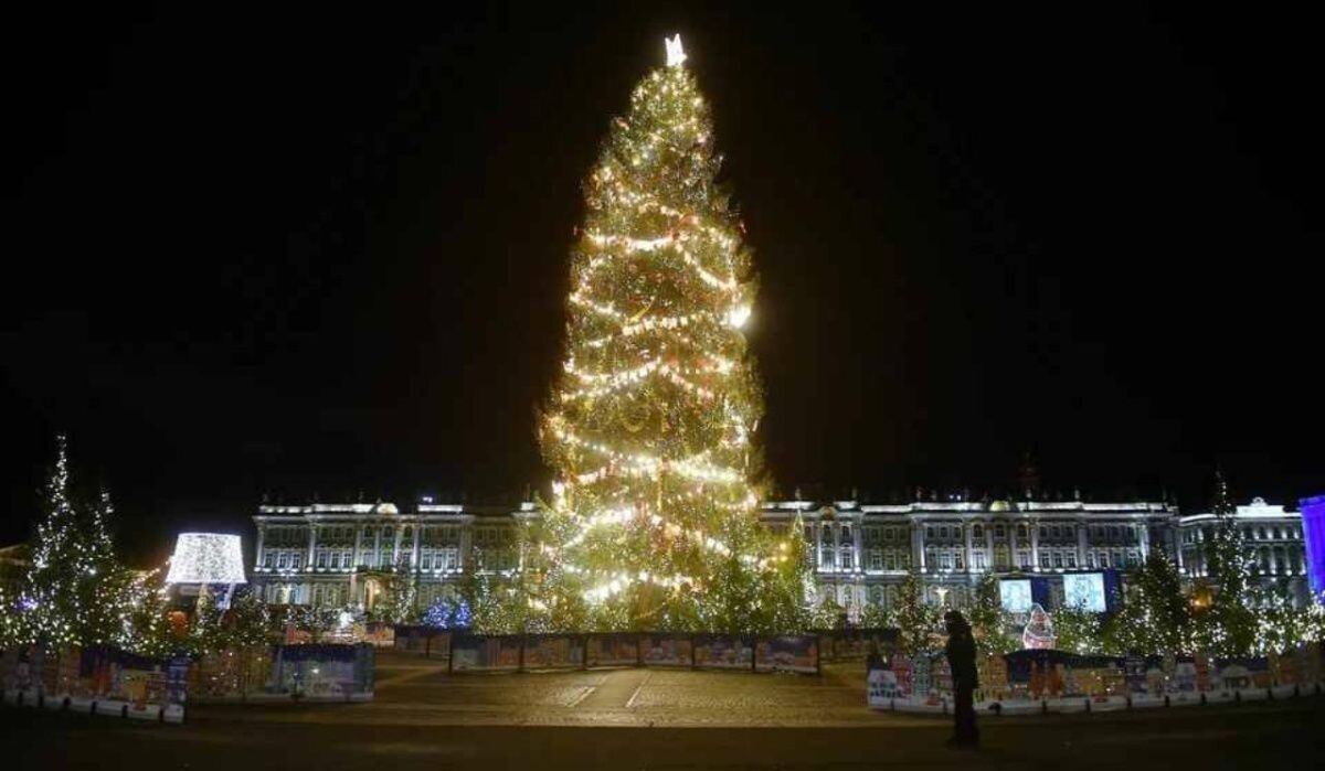     Ель на Дворцовой. Источник: spb.kp.ru Автор фото: Алексей Булатов