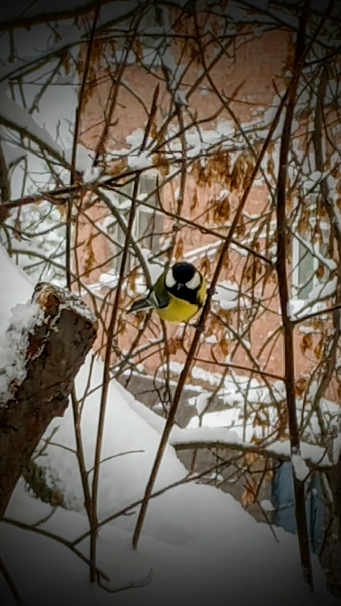 Фото Светланы Кузнецовой 