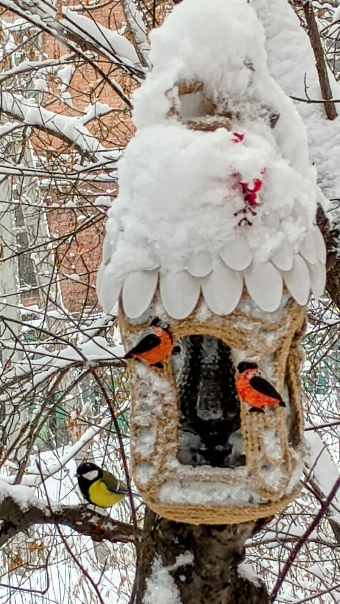 Фото Светланы Кузнецовой 
