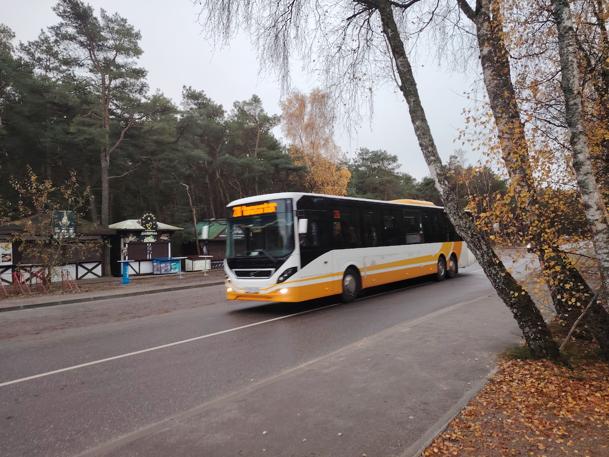 Я все-таки в восторге от автобусов)