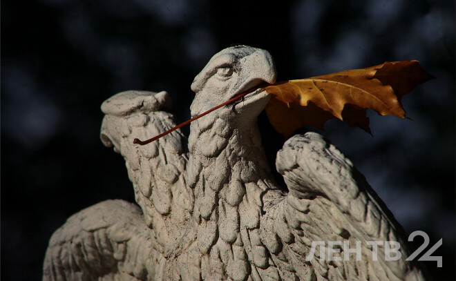    © Анастасия Илюшина / ЛенТВ24, архивное фото