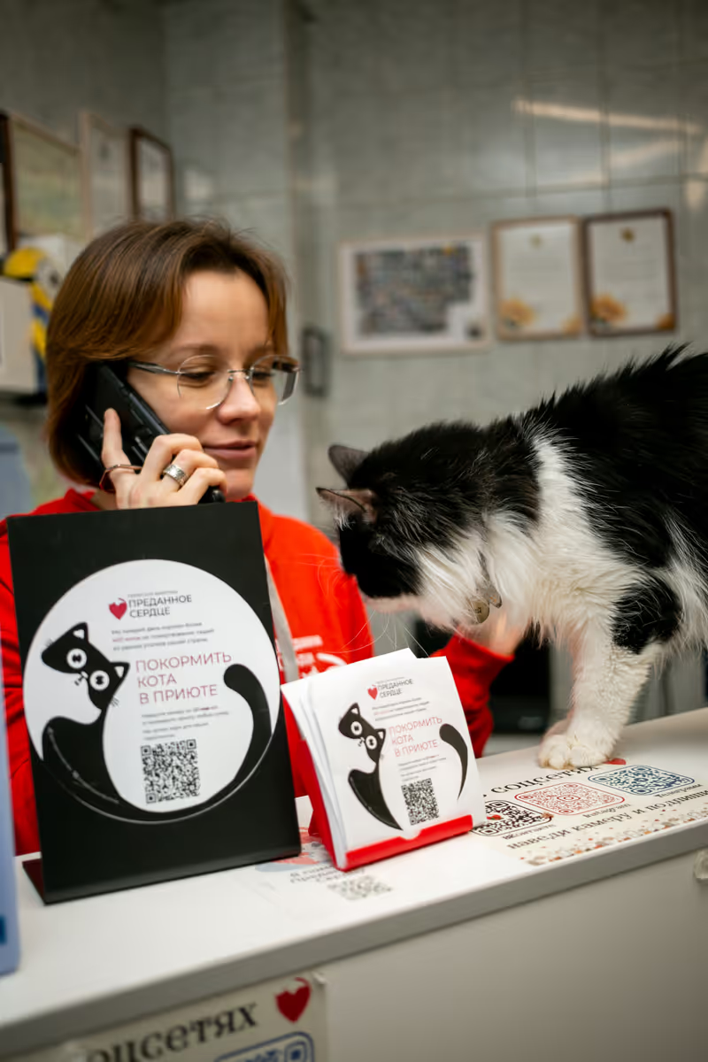 Фото: АНО «Приют для животных «Преданное сердце»