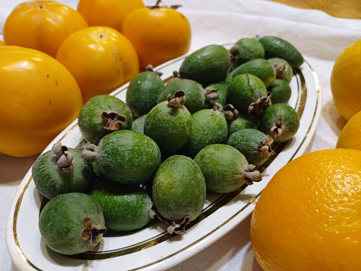 Ягода фейхоа. Фото автора