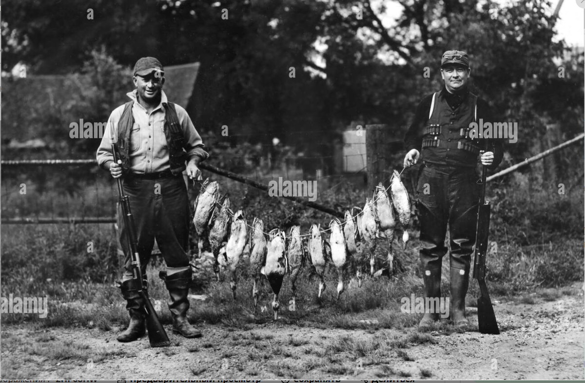 Америка 1940 год