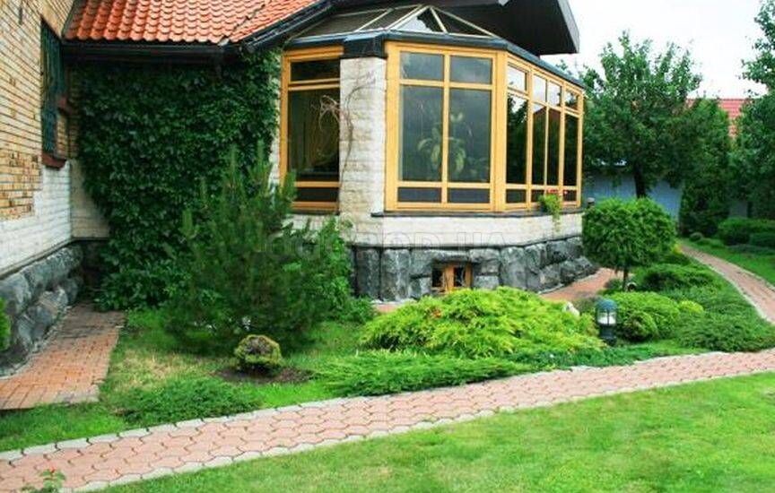 Подобные растения всегда считались прекрасным украшение участка