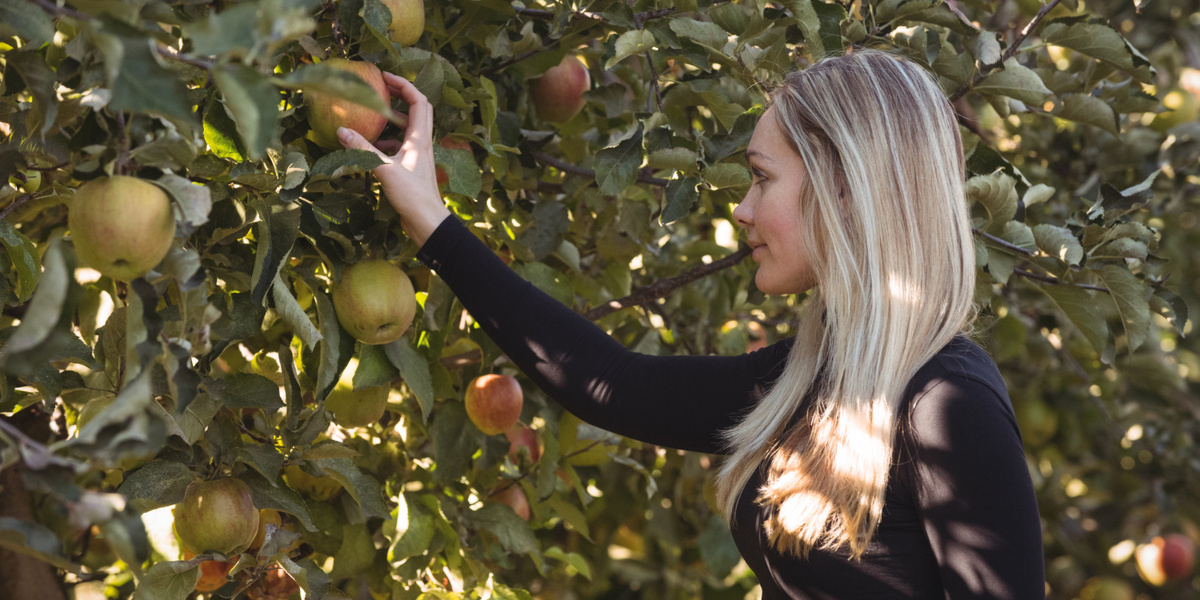 Фото: freepik.com