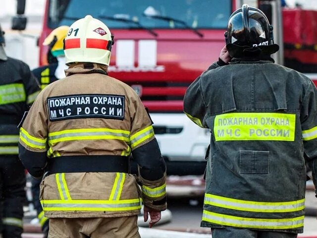    Фото: портал мэра и правительства Москвы