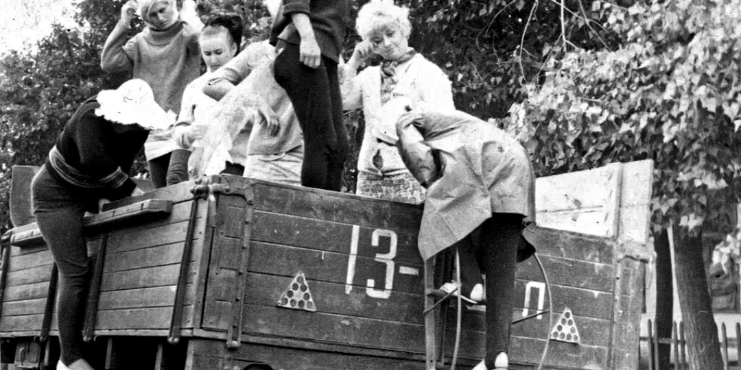 Вот такой он был - общественный транспорт в советской деревне!