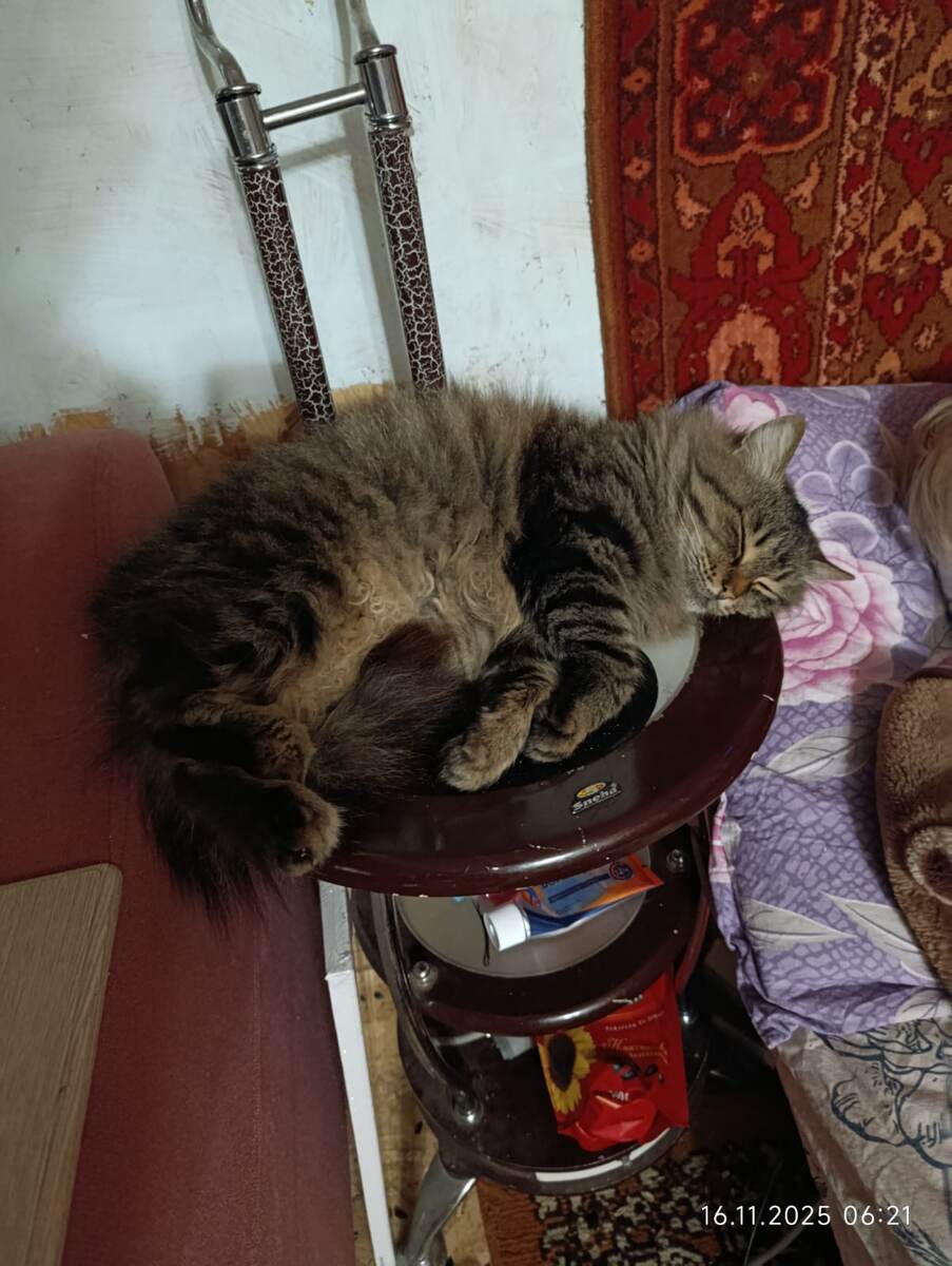 Катечка - утренний сон сладок)