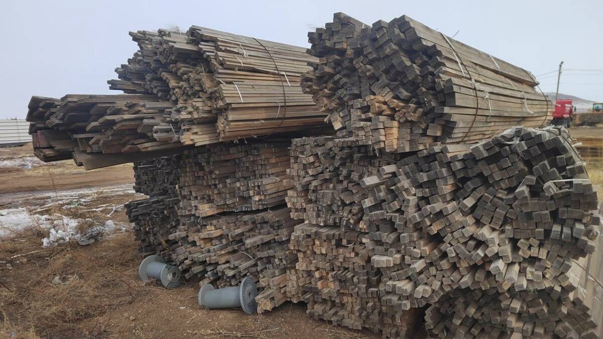    Фото: Ирина Волк / Telegram